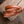 Max 2.0 Leash