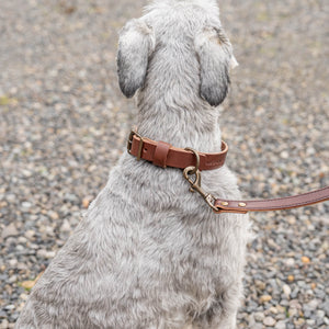 Rover Collar