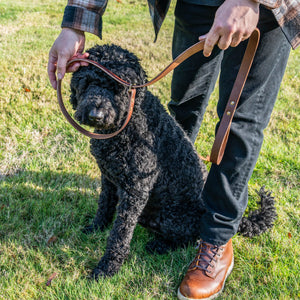 Slip Leash - Ready to Ship
