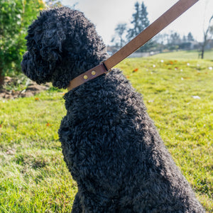 Slip Leash - Ready to Ship