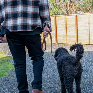 Slip Leash - Ready to Ship